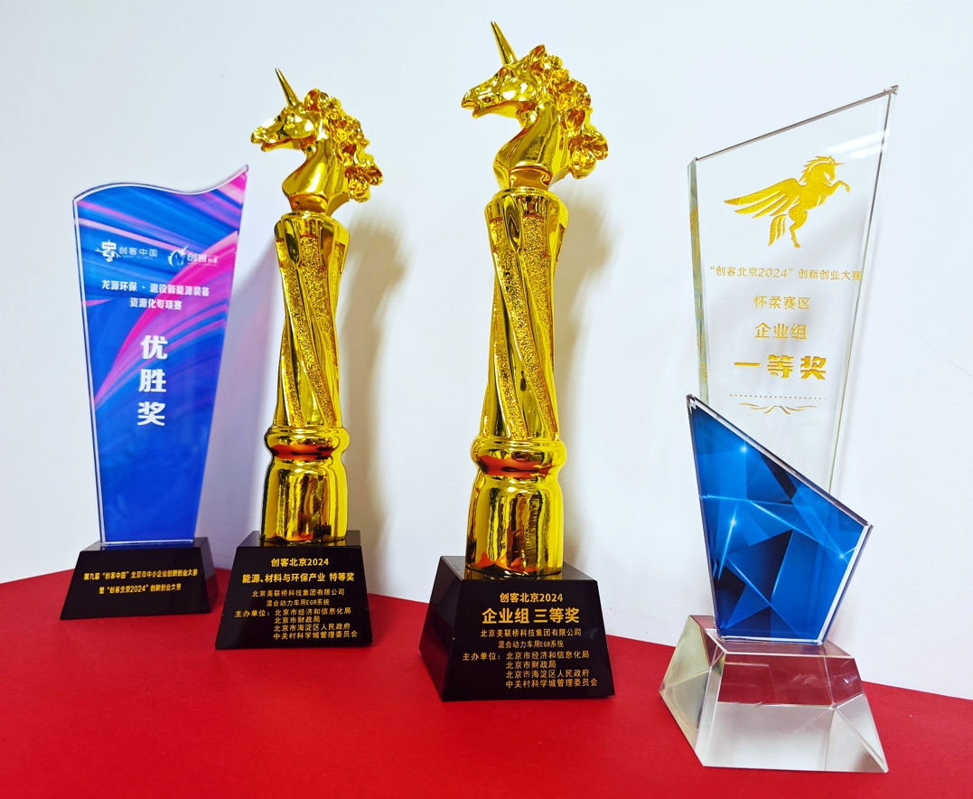 �Ϲ�NG28�Ƽ����ų��Ȼ춯EGRϵͳ��Ŀ�����ͱ���2024�������չ���ǿ����Χ �������й�2024�� ������